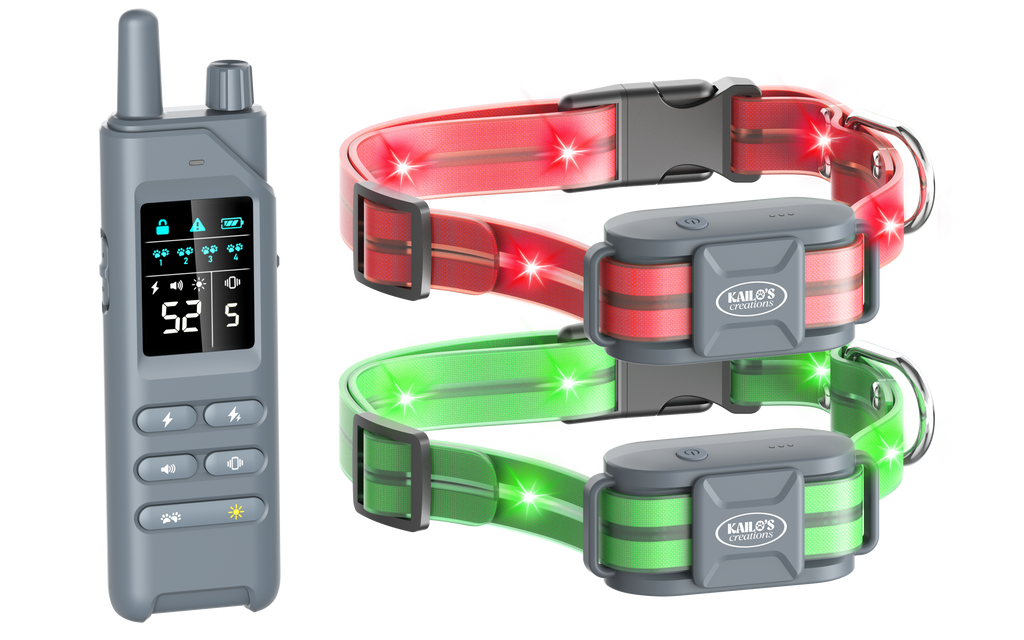 Dog Training Collar with 360° LED Lights