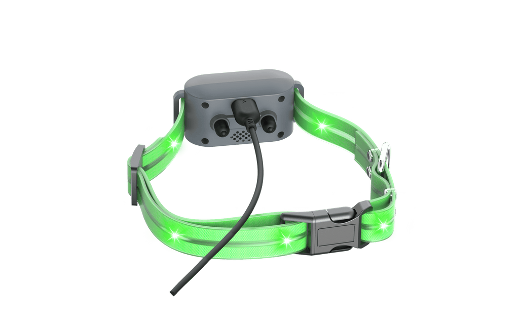 Dog Training Collar with 360° LED Lights