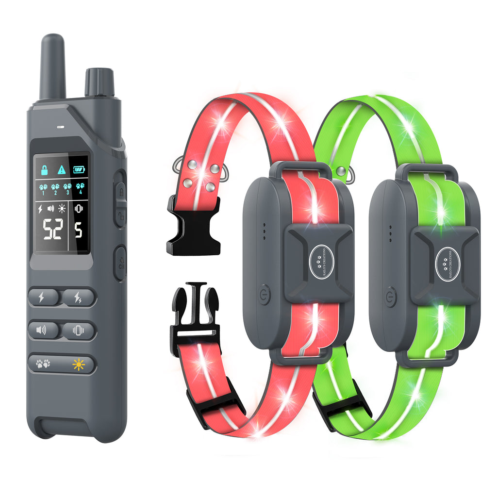 Dog Training Collar with 360° LED Lights