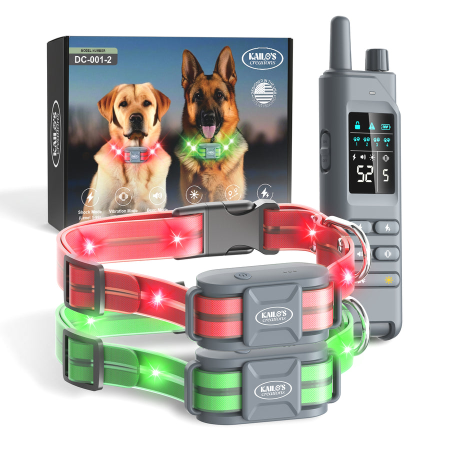 2-Pack (Green & Orange)