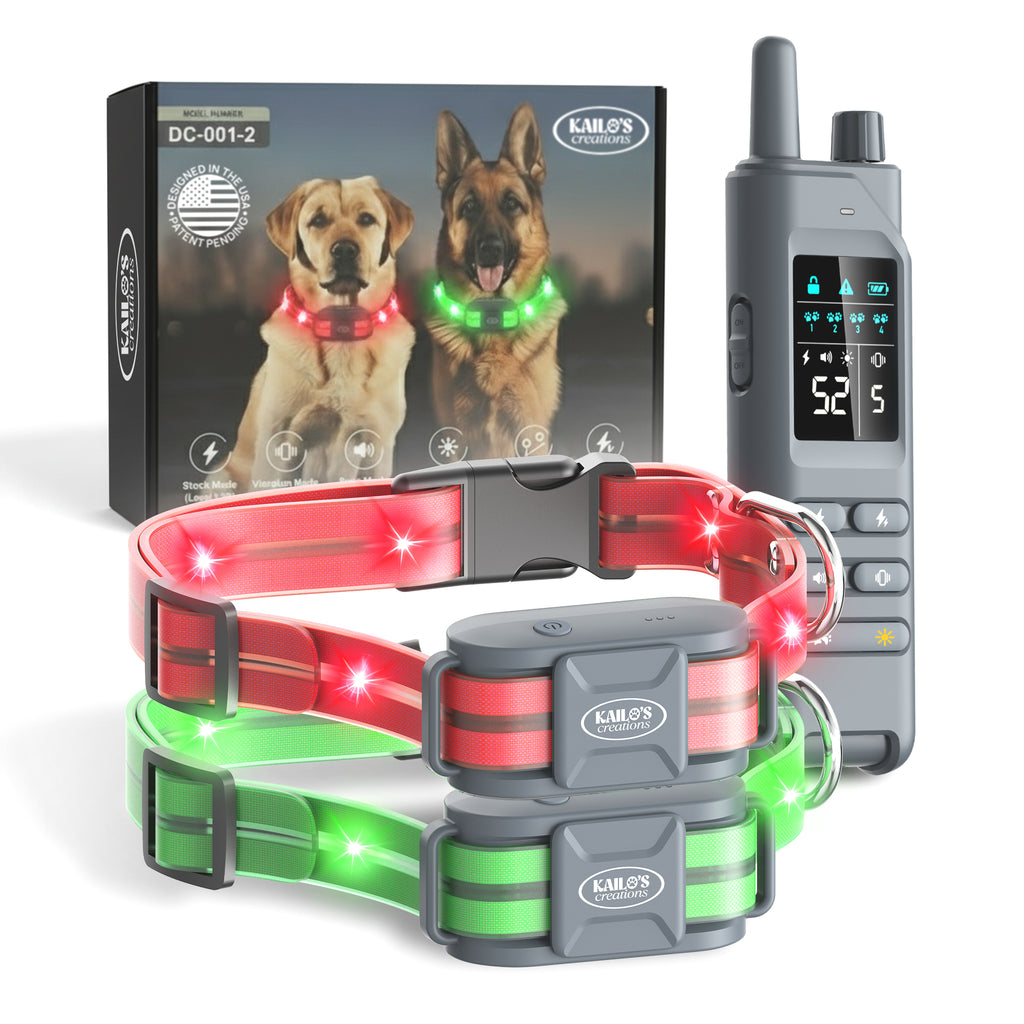 2-PacK (Green & Orange)