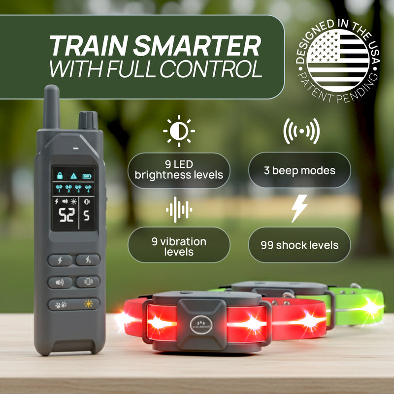 4-in-1 Training Options