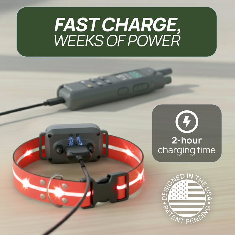 Rechargeable Battery