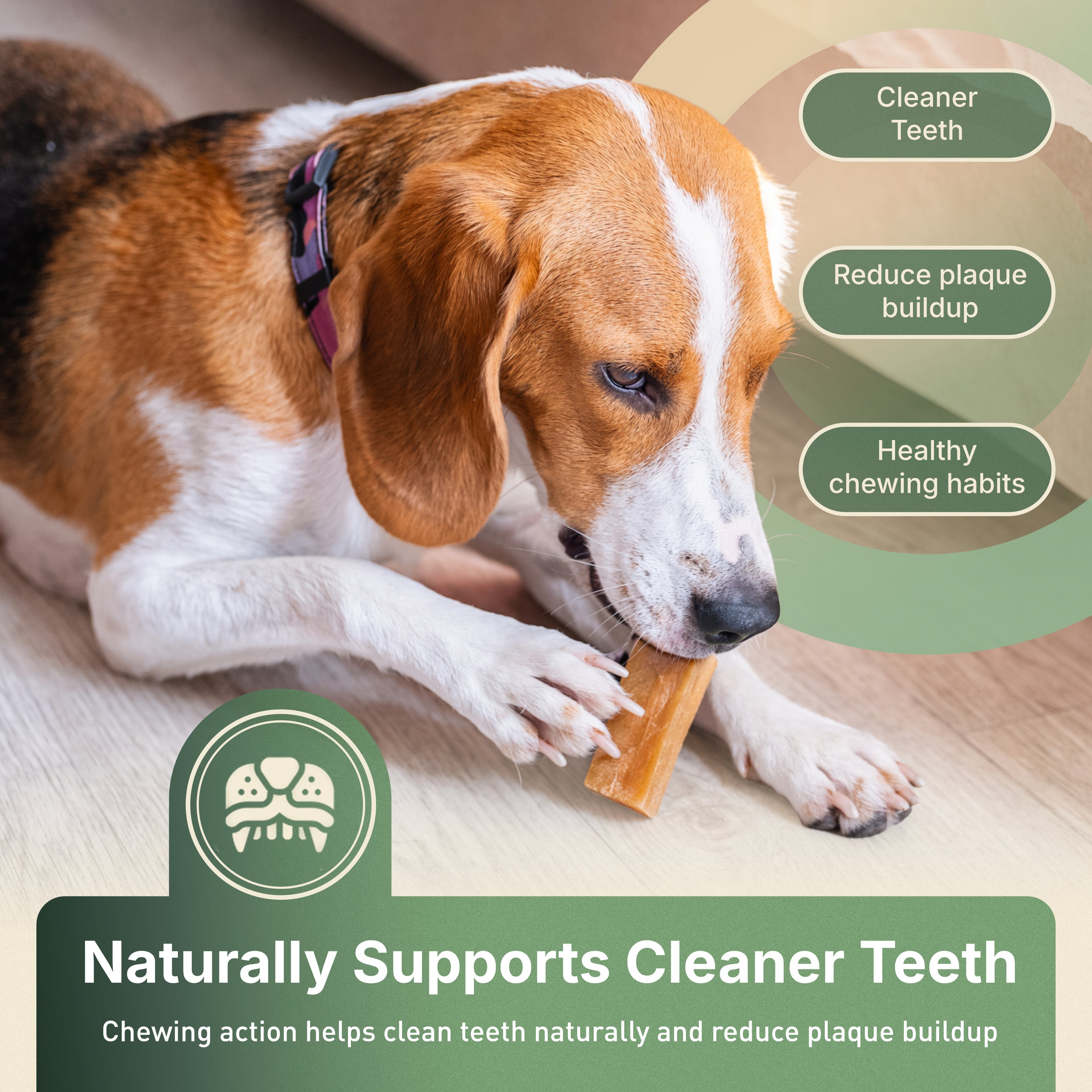 Yak Chews for Dogs